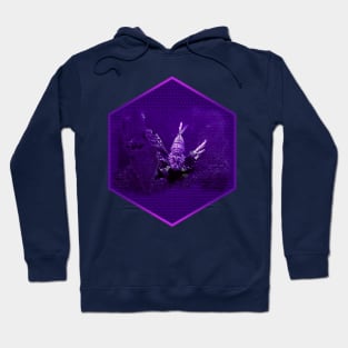 Lionfish on Purple Hexagonal Bubblewrap Pattern Hoodie